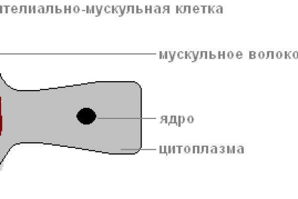 Кракен маркетплейс 2025