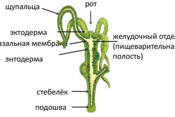Ссылки на сайты в даркнете